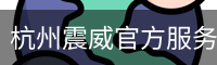 杭州震威官方服务体系 - 娱乐科技服务手机版